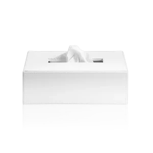 Brownie KB 40 Papiertuchbox