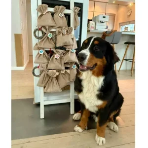 Hunde Adventskalender